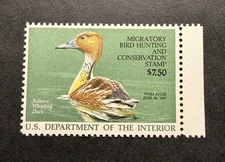 WTDstamps - #RW53 1986 - US Federal Duck Stamp - Mint OG NH **WELL CENTERED**