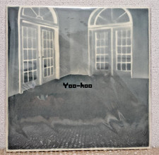 Shintaro Sakamoto Yoo-Hoo Vinyl LP Record Fedex DHL from Japan