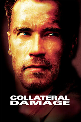 Collateral Damage (DVD, 2002, Wide, Arnold Schwarzenegger) *DISC ONLY* NO CASE