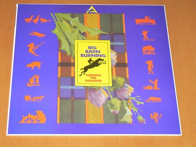 Big Barn Burning - Topping The Orchard, Alternative Country vinyl  mint!!