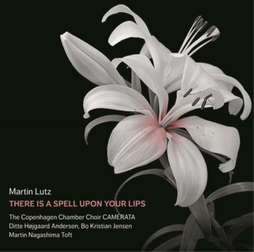 Martin Lutz Martin Lutz: There Is a Spell Upon Your Lips (CD) Album
