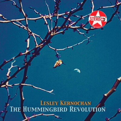 Kernochan,Lesley / The Humminbird Revolution