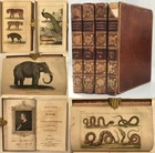 1826 Goldsmith EARTH & ANIMATED NATURE 4 Vols Zoology 38 HAND COLOUR PLATES