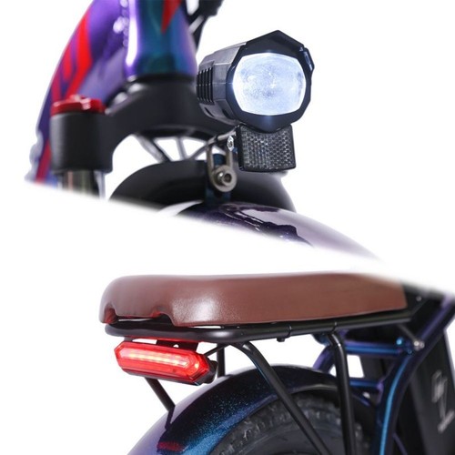 【Fafrees F20 Pro】20 pollici bici elettrica donna/uomo pedelec trekking 250 W - Foto 11 di 12