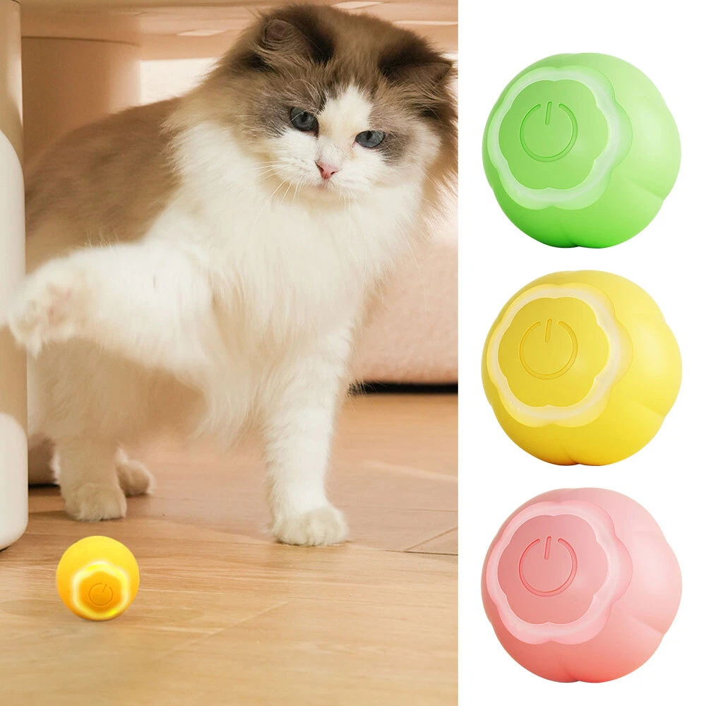 Interactive cat on sale toys uk