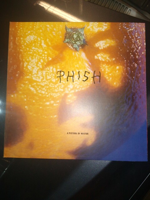 Phish A Picture Of Nectar  Near Mint Cover Only! No Record 