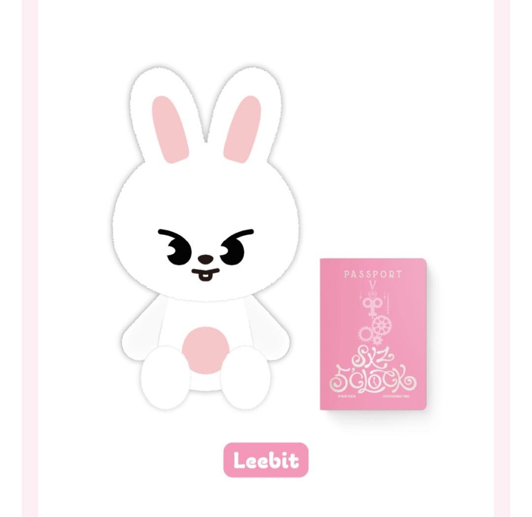 straykids スキズ テディベア teddy bear リノ Leebit テディベア ぬいぐるみ teddy bear リノ StrayKids