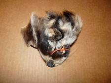 1 tanned RACCOON face fur pelt skin FLY TYING native craft supplies purse bags 2