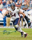 BRIAN URLACHER SIGNED AUTOGRAPH 8X10 PHOTO CHICAGO BEARS