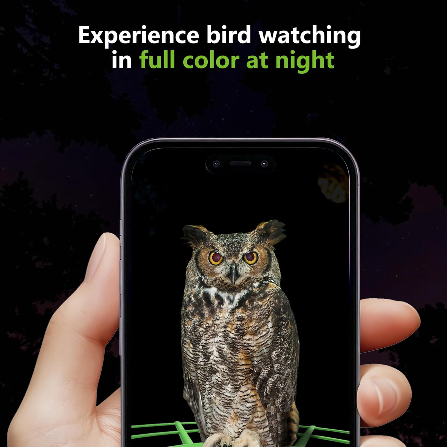 Bird Feeder with Camera, AI Birds Identification, Solar Powered, Live View, Inst