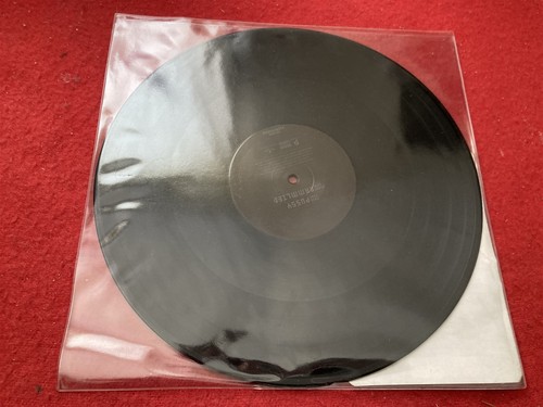 RAMMSTEIN PUSSY VERY RARE VINYL 12" POSSIBLY UNPLAYED LTD NUMBERED COPY - Picture 4 of 5
