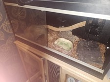 Reptile Vivarium 3ft High x 2ft Wide x 2ft High