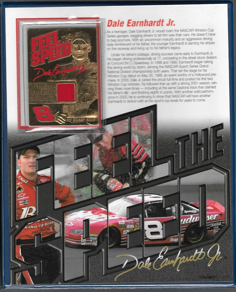 DALE EARNHARDT JR SR 23KT GOLD CARDS RACE USED White 2 COLOR Sheet Metal RARE  - Image 3 of 3