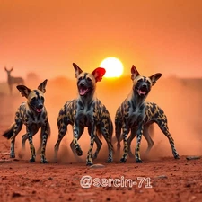 Digital Image Picture Photo Wallpaper Background Desktop AI Art Sample Product