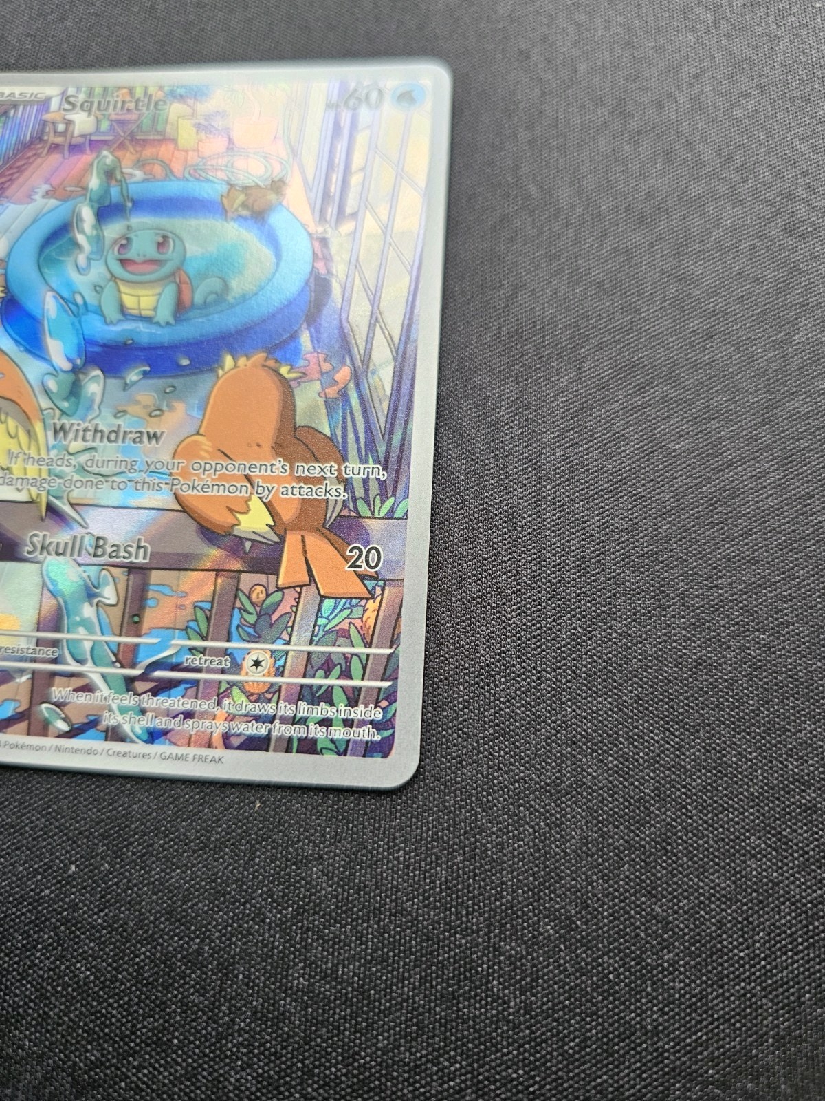 Picture 7 of 12