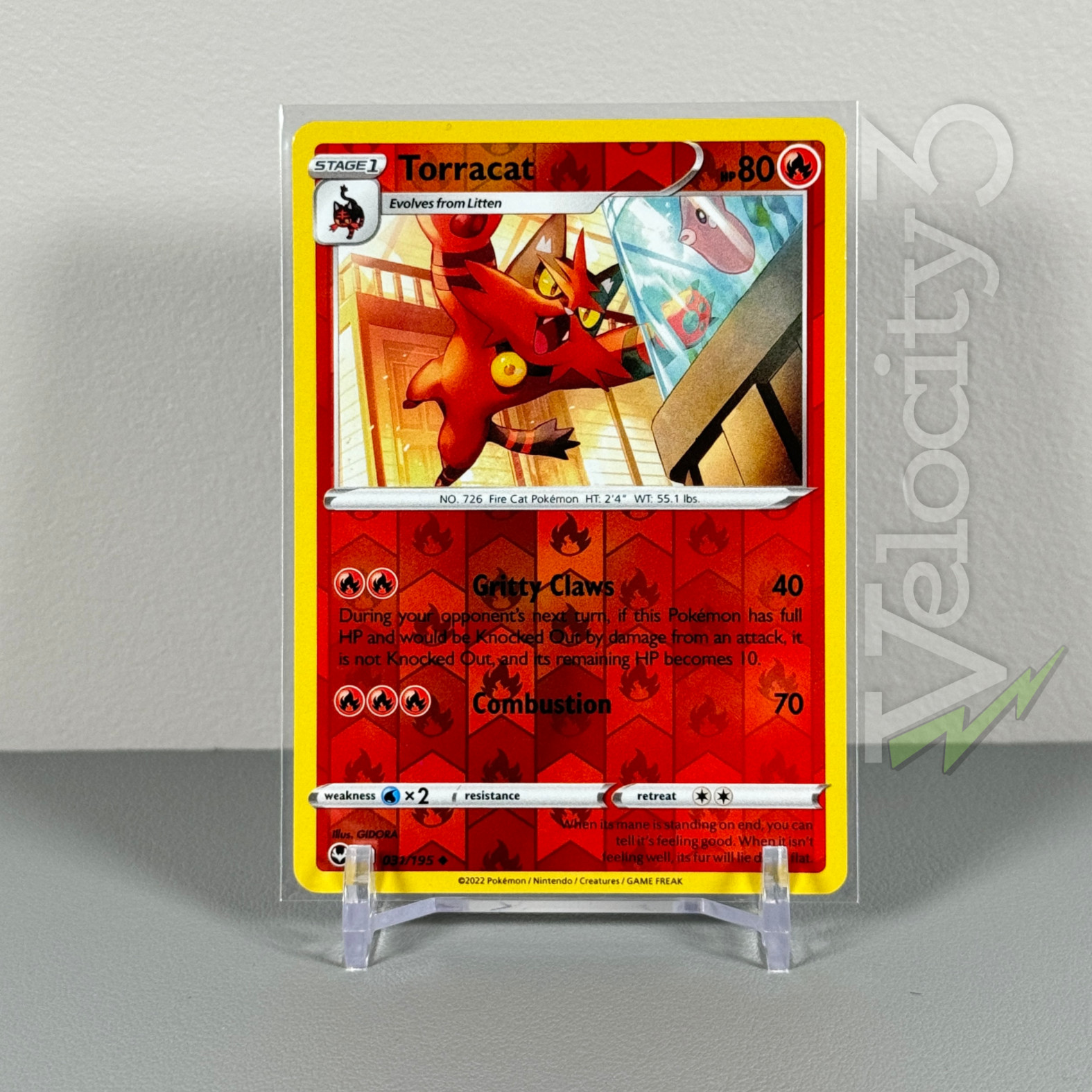 Pokemon TCG Card: TORRACAT 31/195 Reverse Holo | Uncommon | Silver Tempest | MT