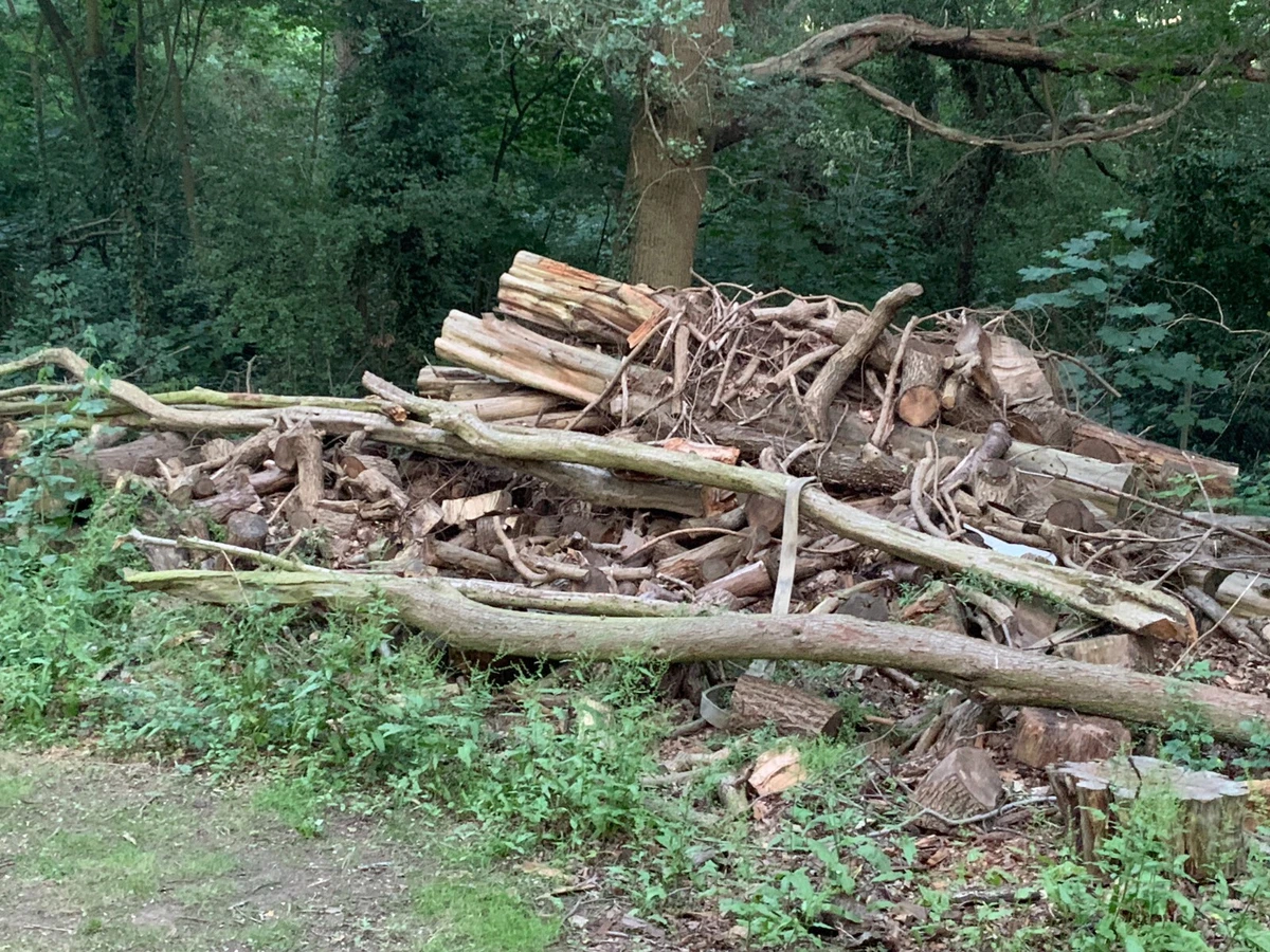 logs burner / fire wood for sale🌳🌲🌳 | eBay