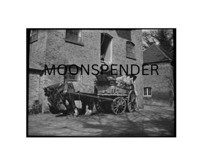 PFERDELADUNG IN GROVE MILL WATFORD DATIERT 1900 Magische Laterne Dia FOTO