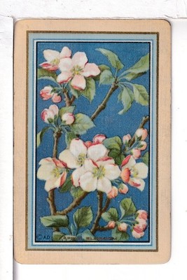 Single Vintage Playing Card U.S. Narrow Named ''Apple Blossom'' AP-1-1 A