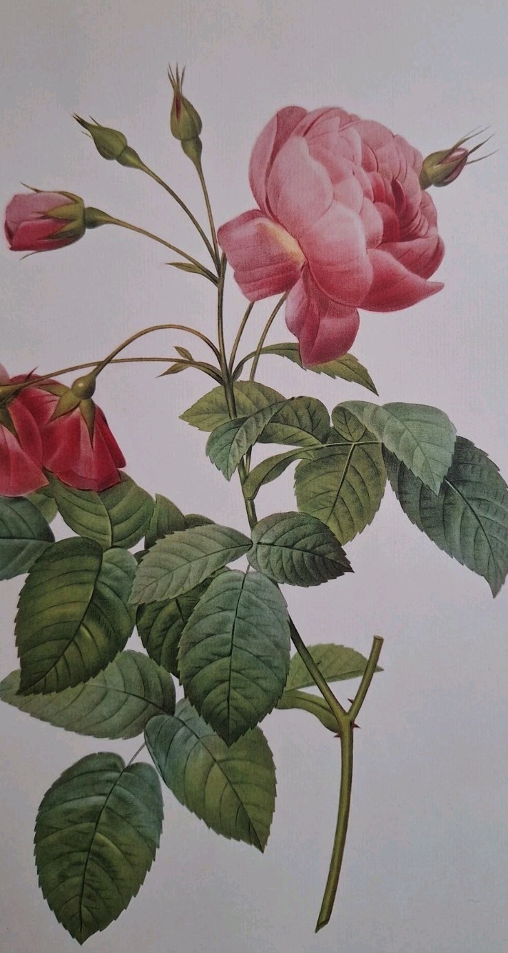 Picture 1