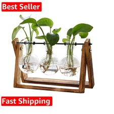 Plant Terrarium with Wooden Stand, Air Planter Bulb Glass Vase Metal Swivel H...
