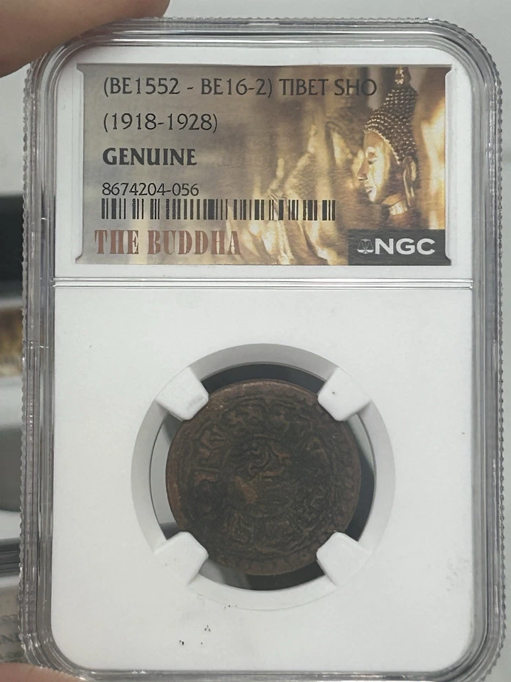 SASA (10) TIBET Copper Sho Era 1918-1928 Tibetan Bronze Coin Snow Lion Ngc - Image 2 of 4