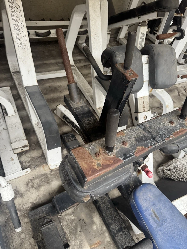 Levantamiento de pantorrillas Icarian Foto 3 de 3