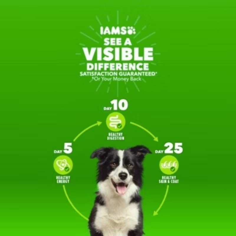 IAMS Proactive Health Chicken and Whole Grains Flavor Puppy Dry Dog Food