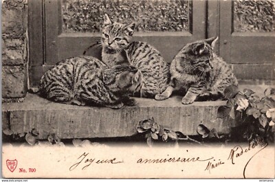 illustrateur MAURICE BOULANGER . Chats humanisés . LA CHORALE DE RUE