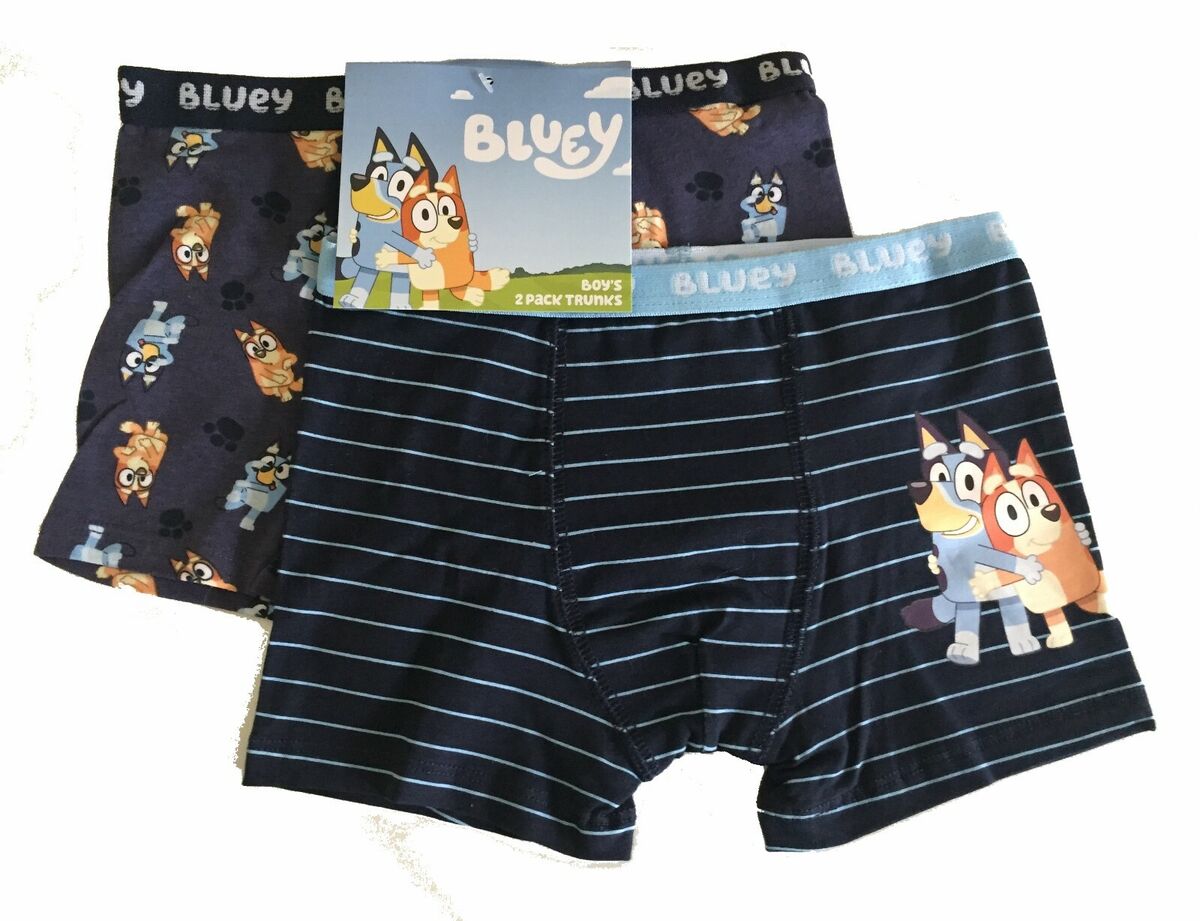 BLUEY BINGO UNDERWEAR ~ Kids Boys Girls Underpants Briefs Knickers