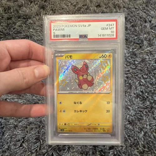 PSA 10 Pawmi Shiny Treasure ex #247 sv4a Pokemon Card Japanese 2023 LOW POP 🔥🔥