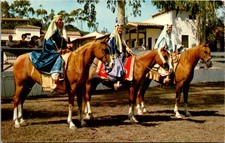 Purebred Arabian Horses Catalina Island 1959 El Rancho Escondido Postcard