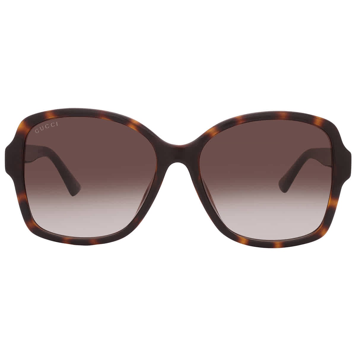 サングラス Gucci Sunglasses GG0965SA 003 Translucent Asian Fit Brown Gucci Brown Gradient Butterfly Ladies Sunglasses GG0765SA