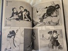 Rare Japanese Vampire Princess Miyu Manga Art Book Good Condition.  — photo 7