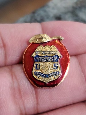 Department of the Treasury Criminal Investigation Special Agent NYFO ...