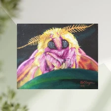 Moth on Leaf Original Oil Painting 
