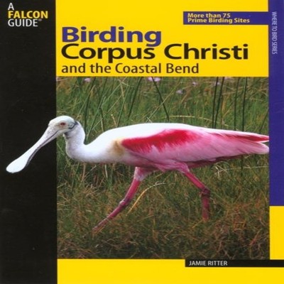 Birding Corpus Christi and the Coastal Bend Jamie Ritter Paperbac