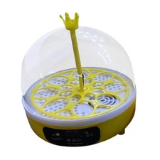 8 Egg Incubator 8 Egg Capacity View Lightweight Chicken Quail Eggs for Turtle