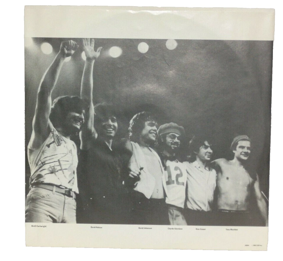 DAVID JOHANSEN Live It Up LP New York Dolls VG+ Plays Well Blue Sky ARZ 38004 Foto 4 de 4