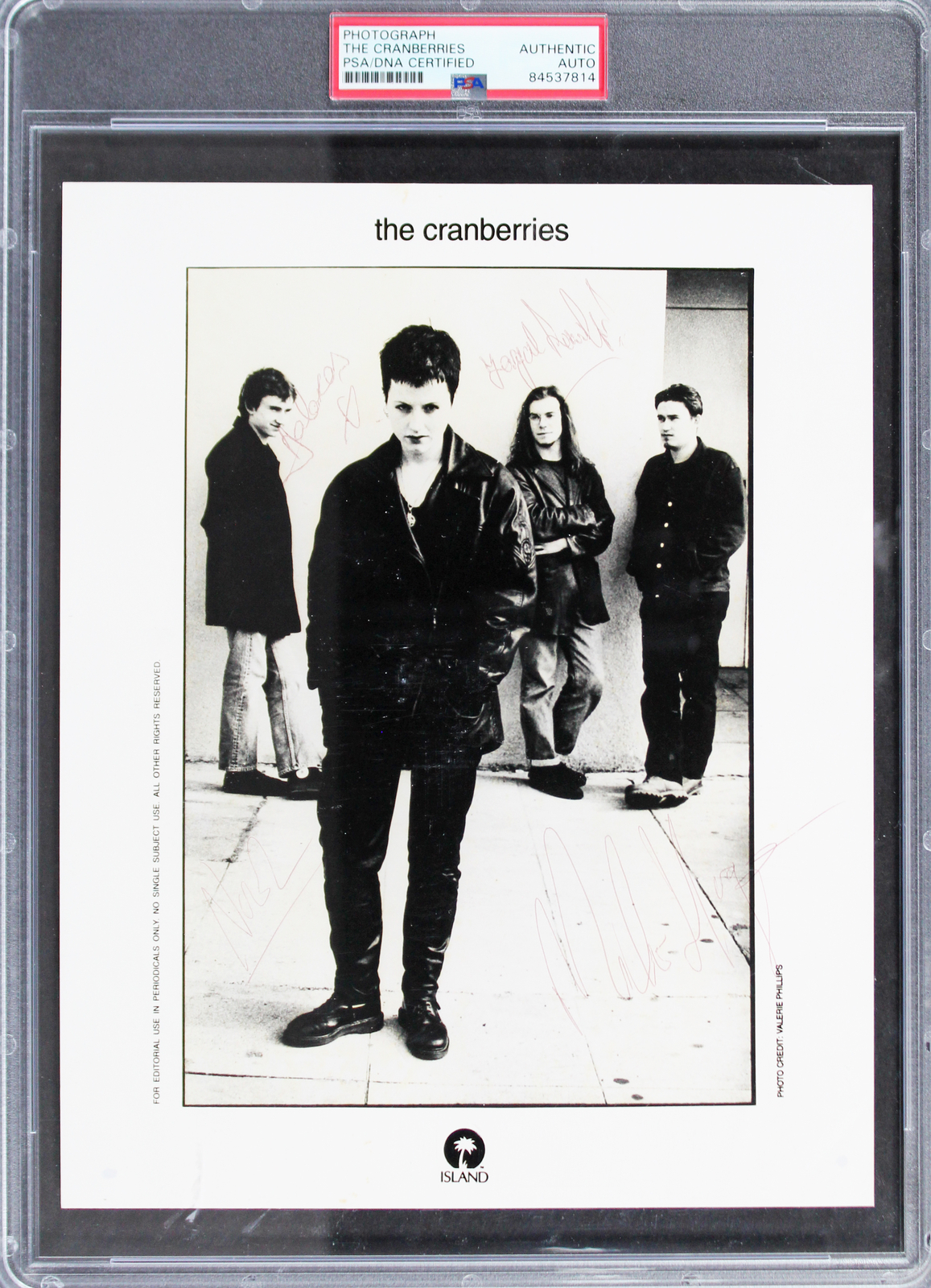 The Cranberries Autographed Signed (4) O'riordan, Lawler, Hogan & Hogan 8X10 Photo PSA Slab 