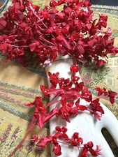vintage velvet silk 1940s millinery flowers 1 spray made Japan xmas true red