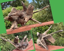 DRIFTWOOD Natural Freshwater TERRARIUM Aquarium DECOR Crafts 16" ROOT Monster