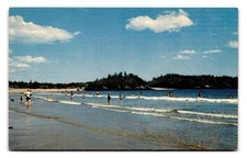 Vintage New River Beach New Brunswick Canada Colorchrome Postcard