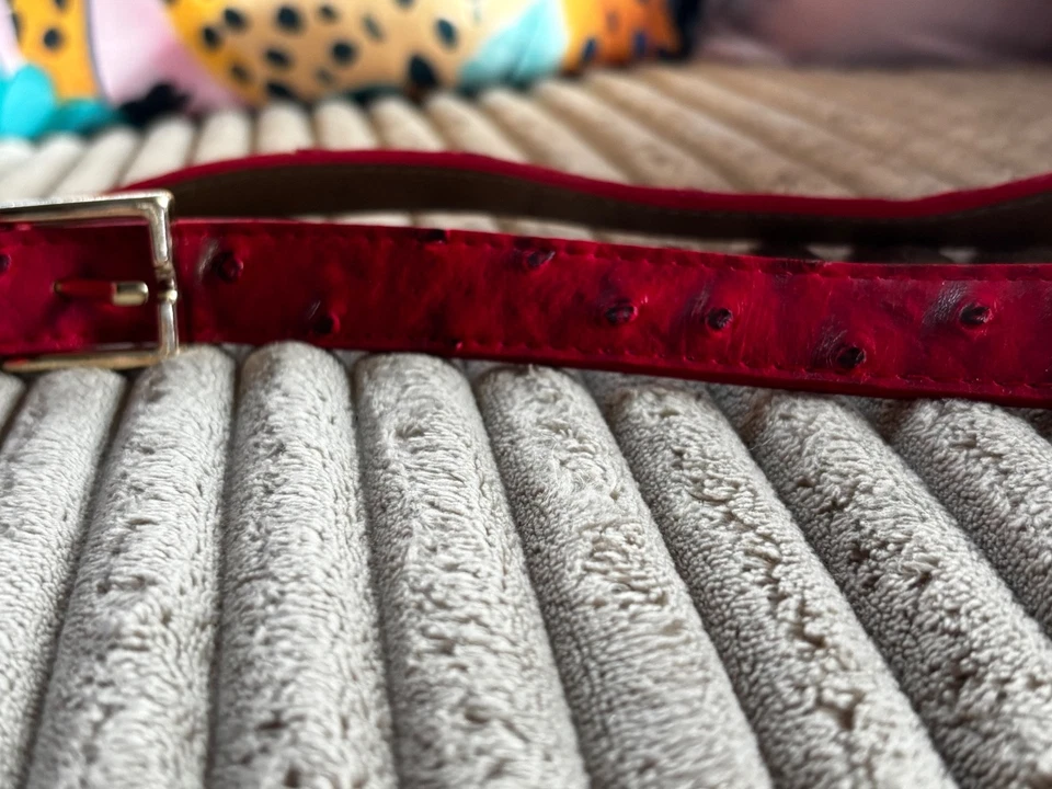 Anna Kastle cinturón de cuero Foto 3 de 4