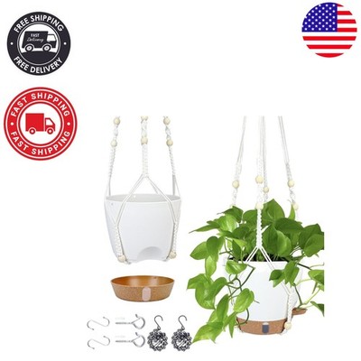 Elevate Your Space with 8-Inch Self-Watering Hanging Planters, 2 Pack