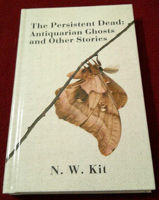 Persistent Dead : Antiquarian Ghosts and Other Stories by N. W. Kit (2015, HC)
