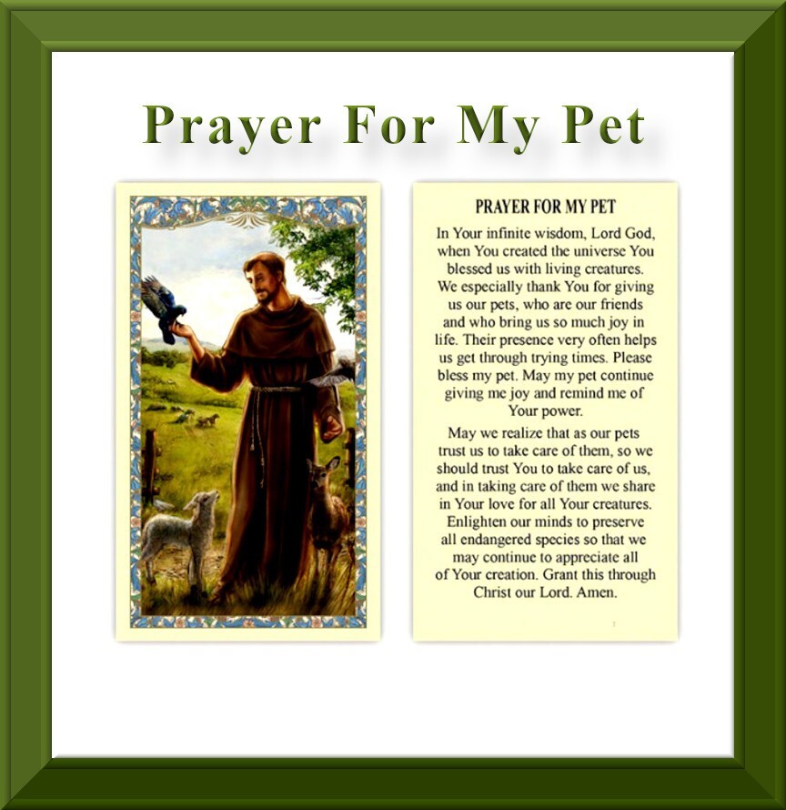Prayer for My Pet Blessing Prayer for Your Furry Faithful Friends Holy