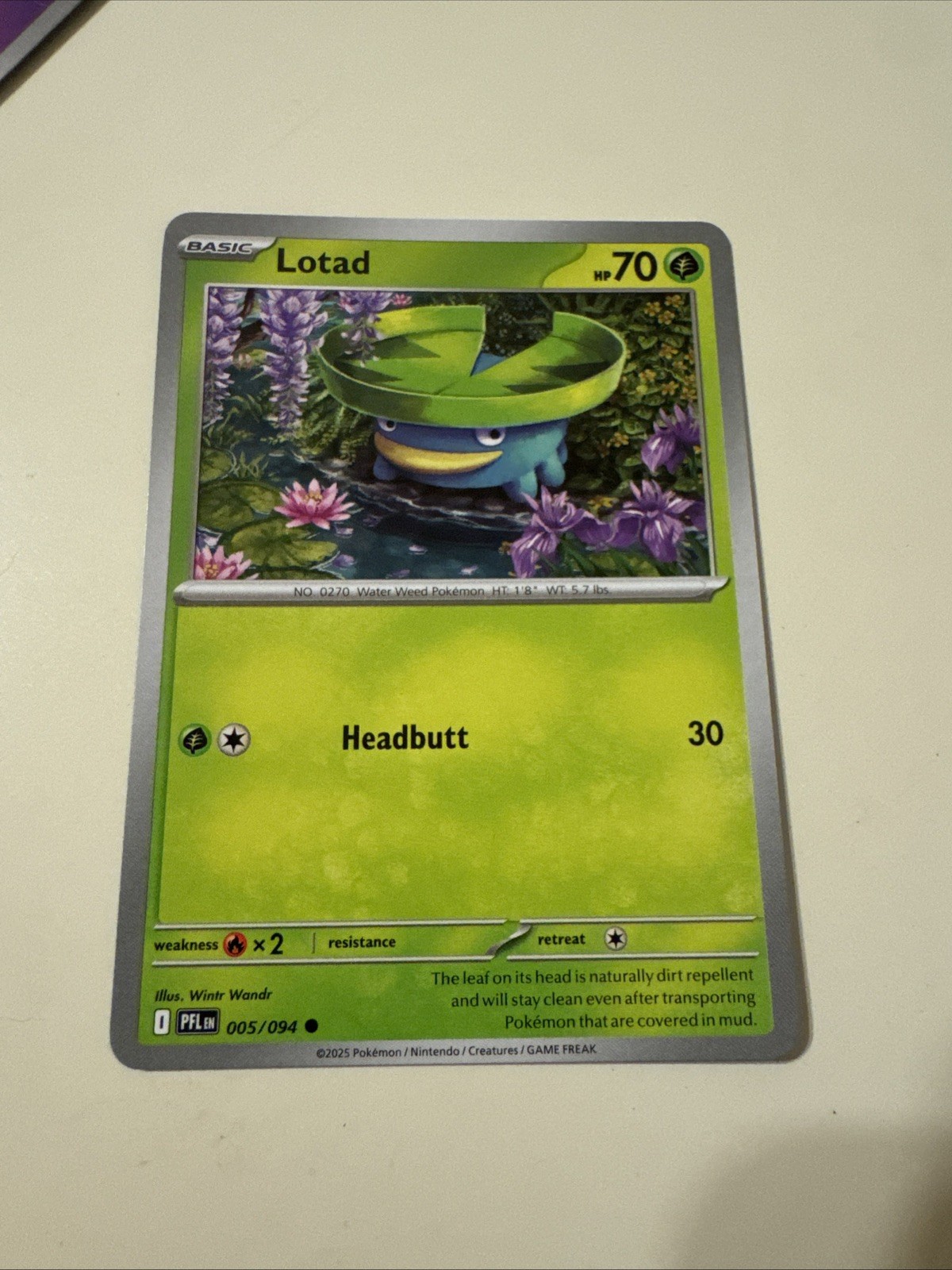 Pokemon TCG - Lotad - 005/094 - Reverse Holo - ME02: Phantasmal Flames