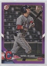 2018 Bowman Draft Purple /250 Raynel Delgado #BD-176 0w47