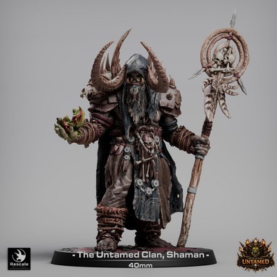 Orc Shaman miniature - DnD - Role Playing Game - Tabletop - Dungeons and Dragons